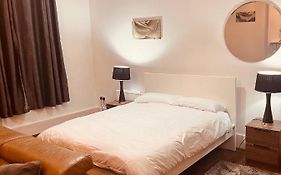 Modern Large Studio